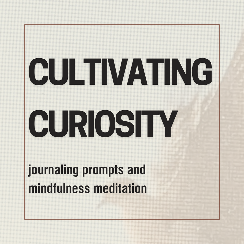 Cultivating Curiosity: Meditation and Journaling [recording]